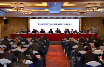 中国城市燃气协会第九届第三次理事会、第九届第三次常务理事会及2025年工作会议在浙江温州圆满召开
