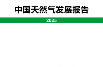 中国天然气发展报告（2025）