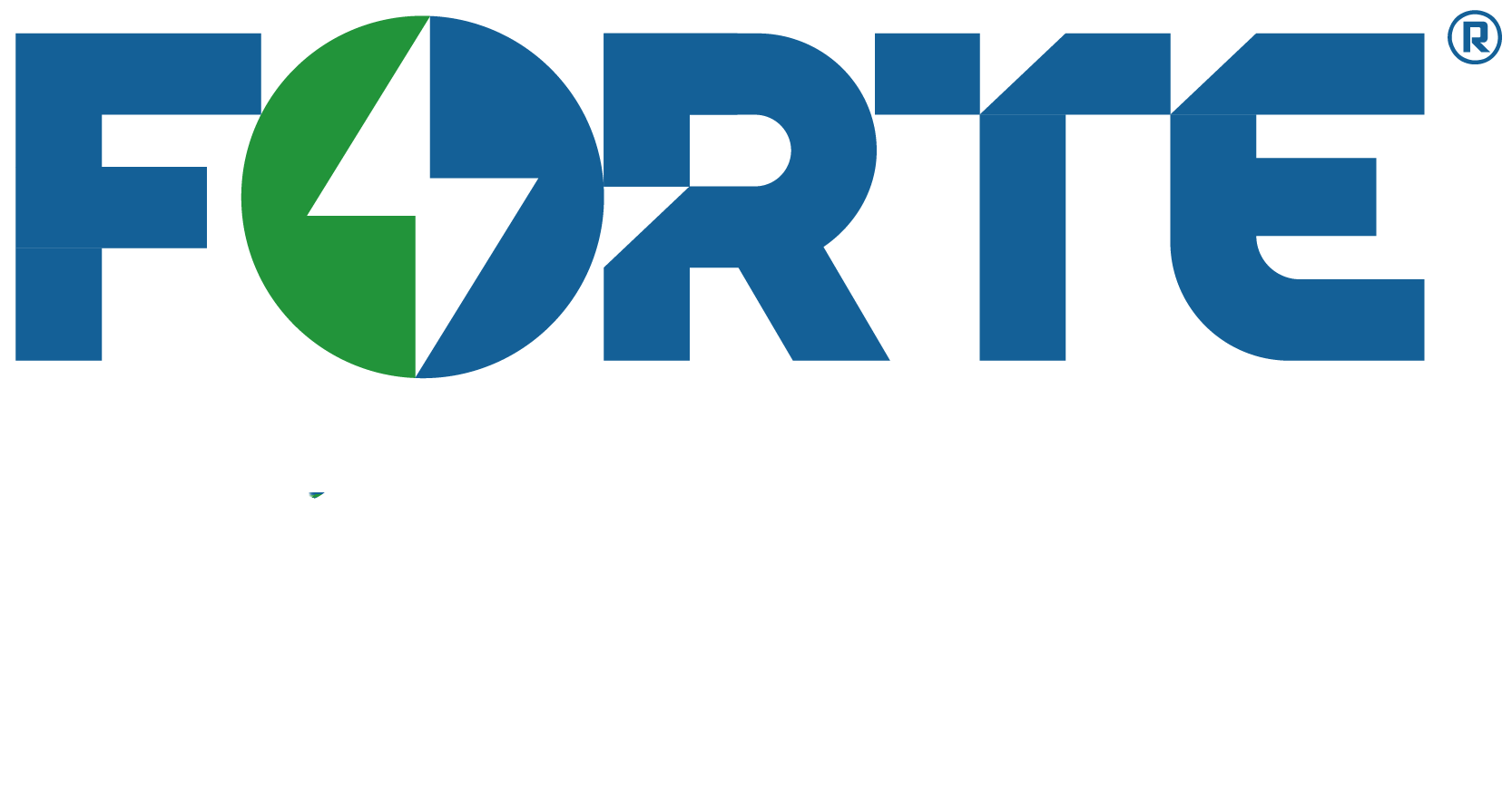 武汉孚特锂能科技有限公司