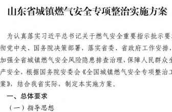关于印发《山东省城镇燃气安全专项整治实施方案》的通知